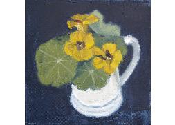 Nasturtiums